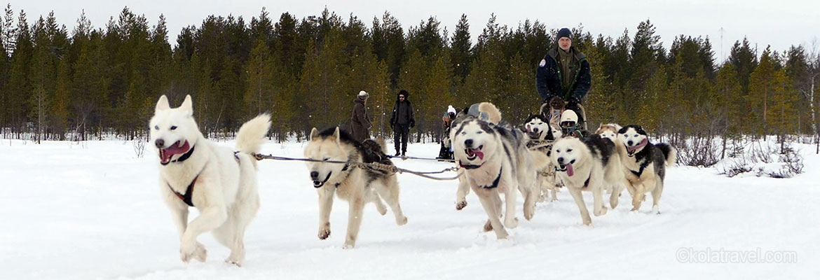 Husky safaris on the Kola Peninsula, from one-day safaris in Murmansk and Lovozero area to multi-day husky expeditions. Kola Travel