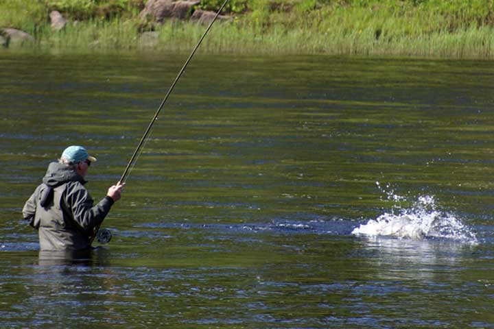 Guided Salmon fishing holiday in Varzuga River. Stay at our camp in brand new lodge and fish unlimited. The holiday is full board. No helicopter necessary. High value for less money!